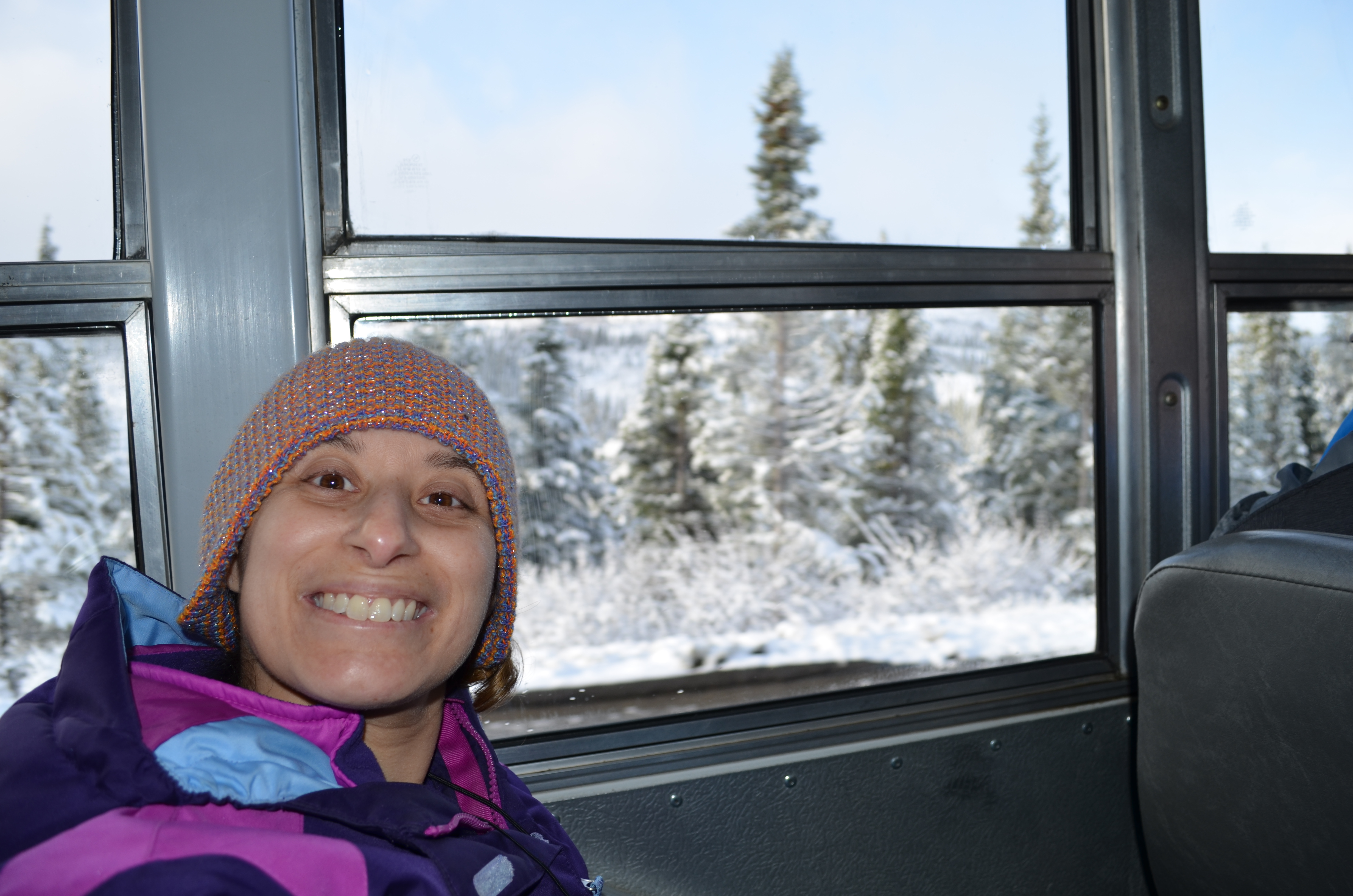 ./2017/08 - Alaska Cruise/03 - Denali/DSC_0204.JPG